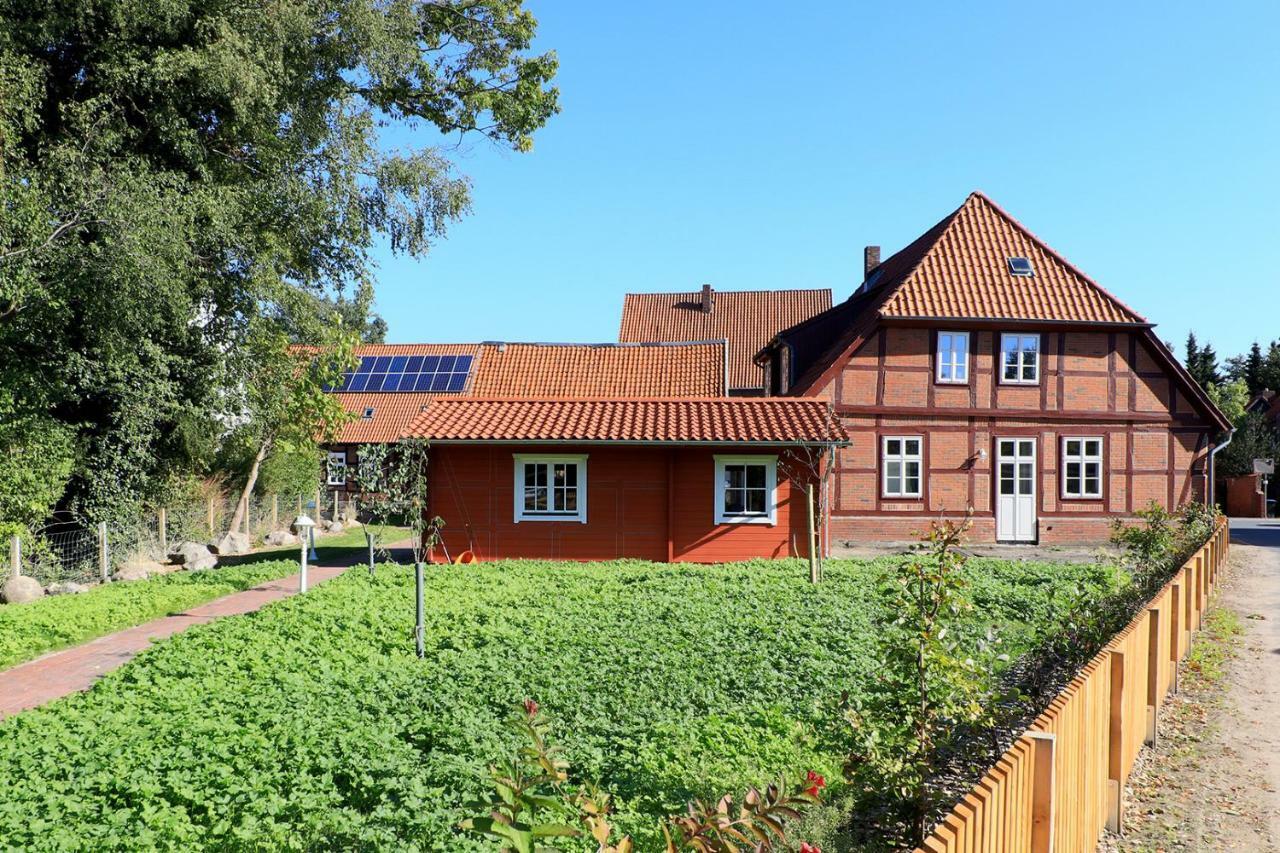 Alte Schmiede Bleckede Διαμέρισμα Εξωτερικό φωτογραφία